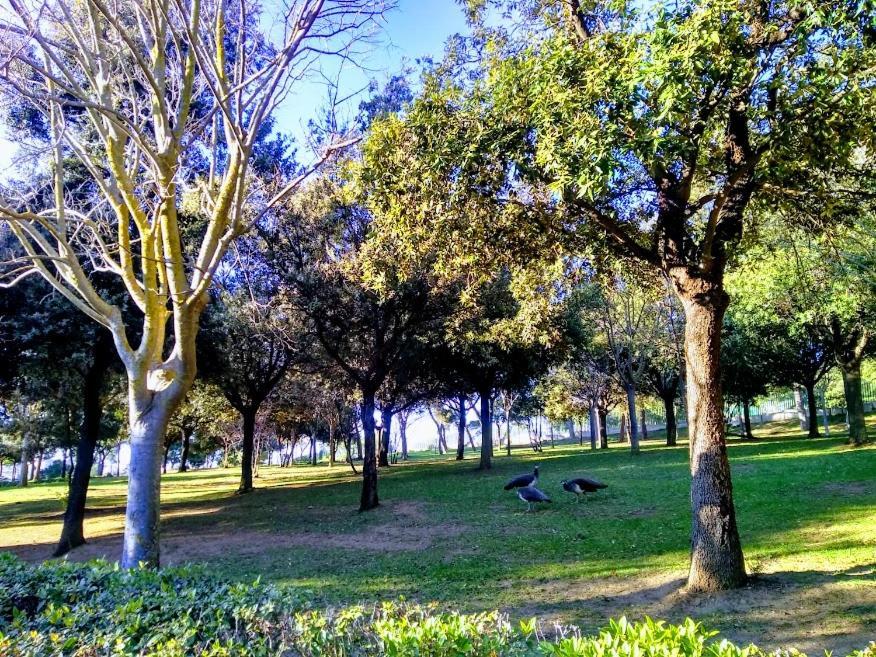 Castelvì Rooms Cagliari Eksteriør bilde