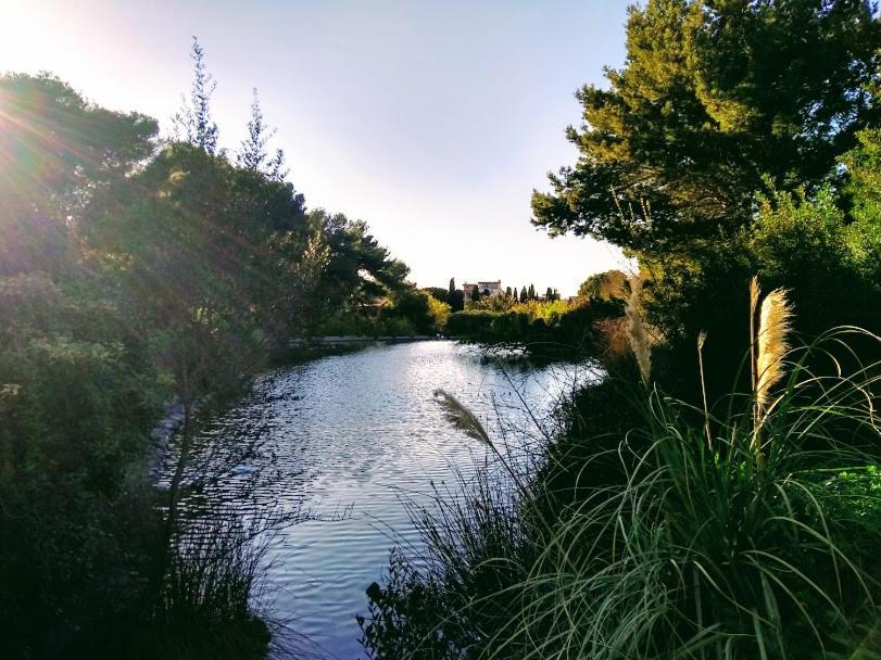 Castelvì Rooms Cagliari Eksteriør bilde
